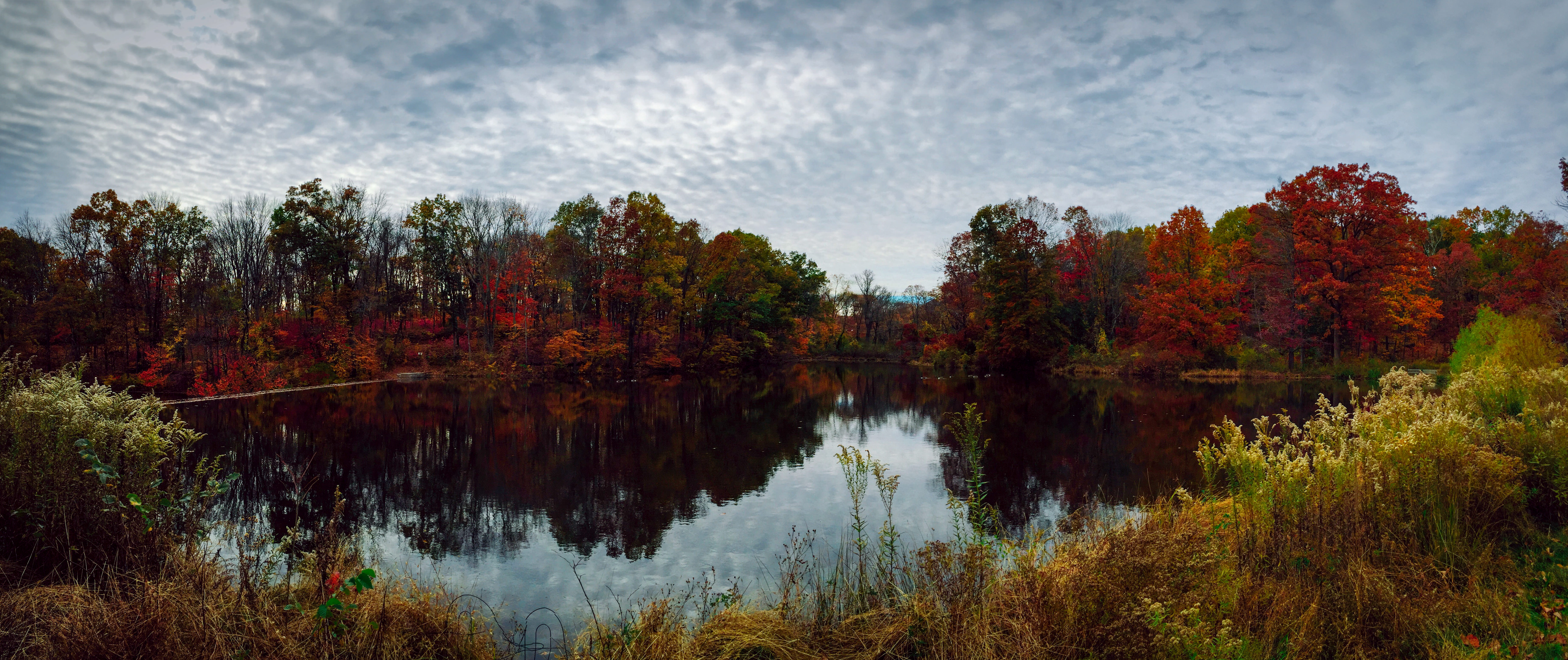 Mountain Lakes Nature Preserve Loop