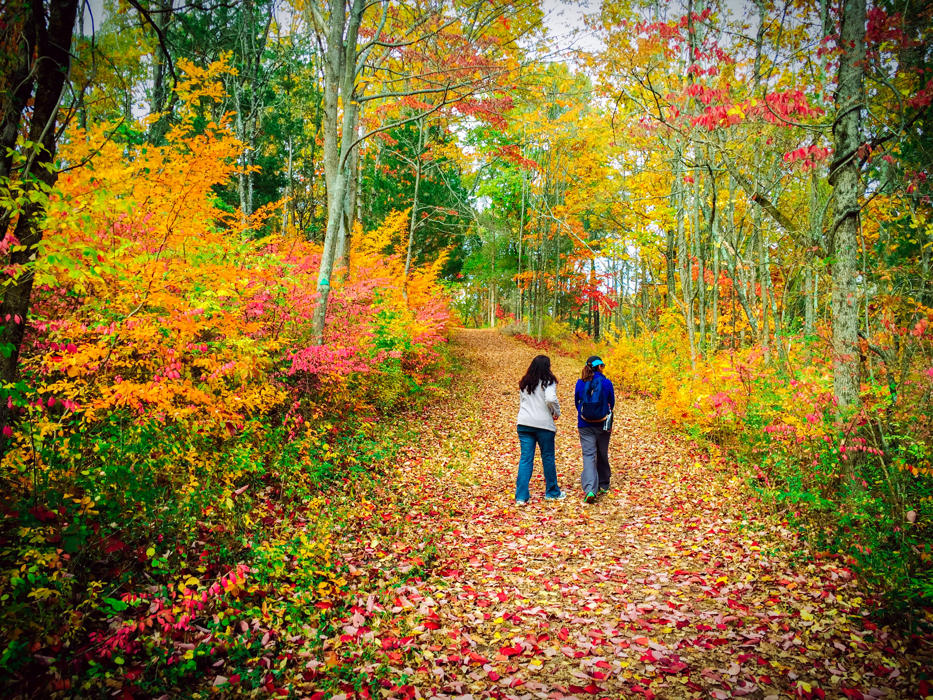 Mountain Lakes Nature Preserve Loop