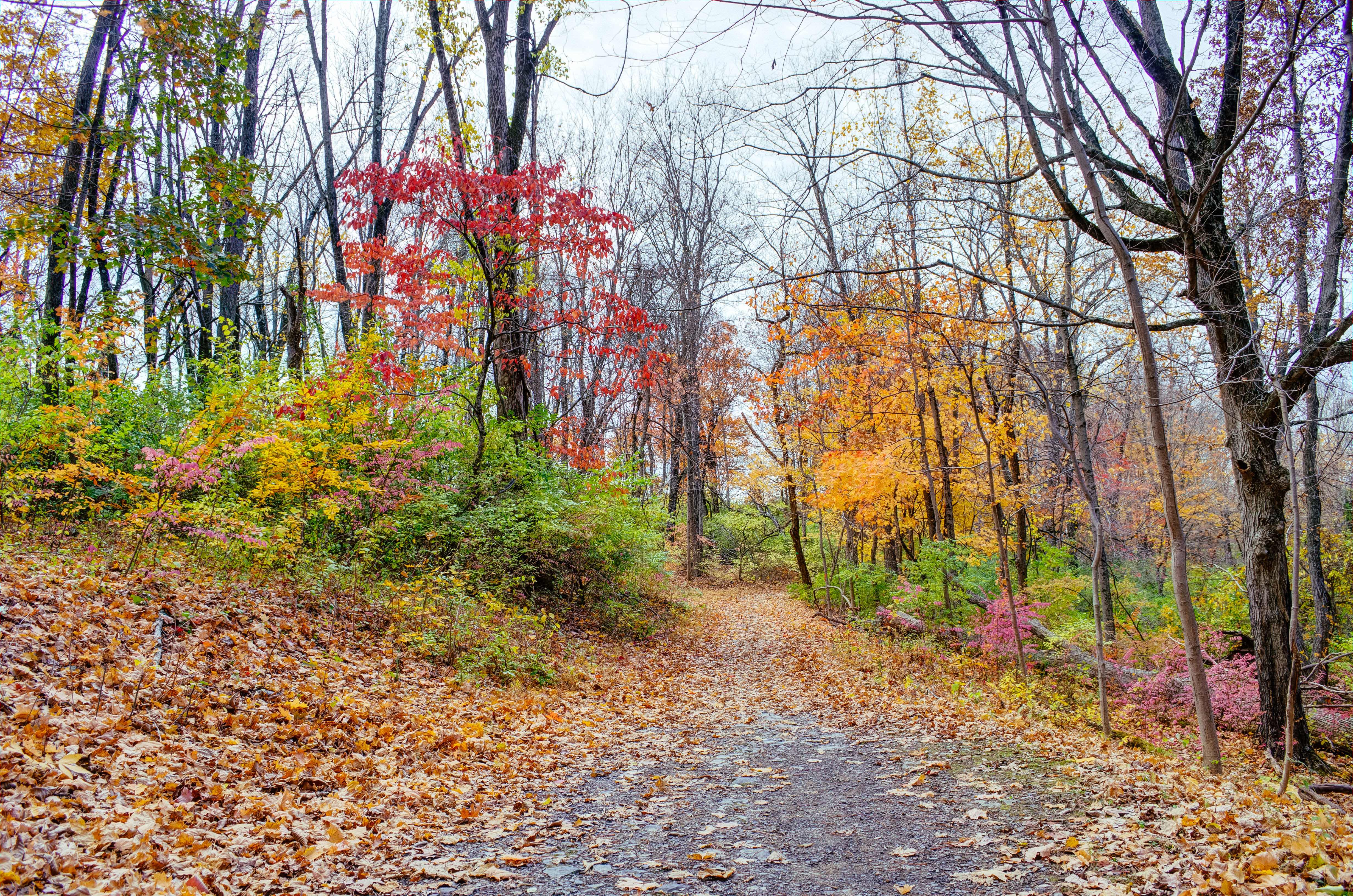 Mountain Lakes Nature Preserve Loop