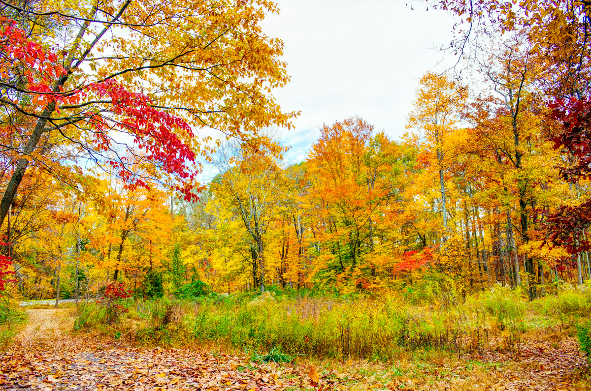 Mountain Lakes Nature Preserve Loop