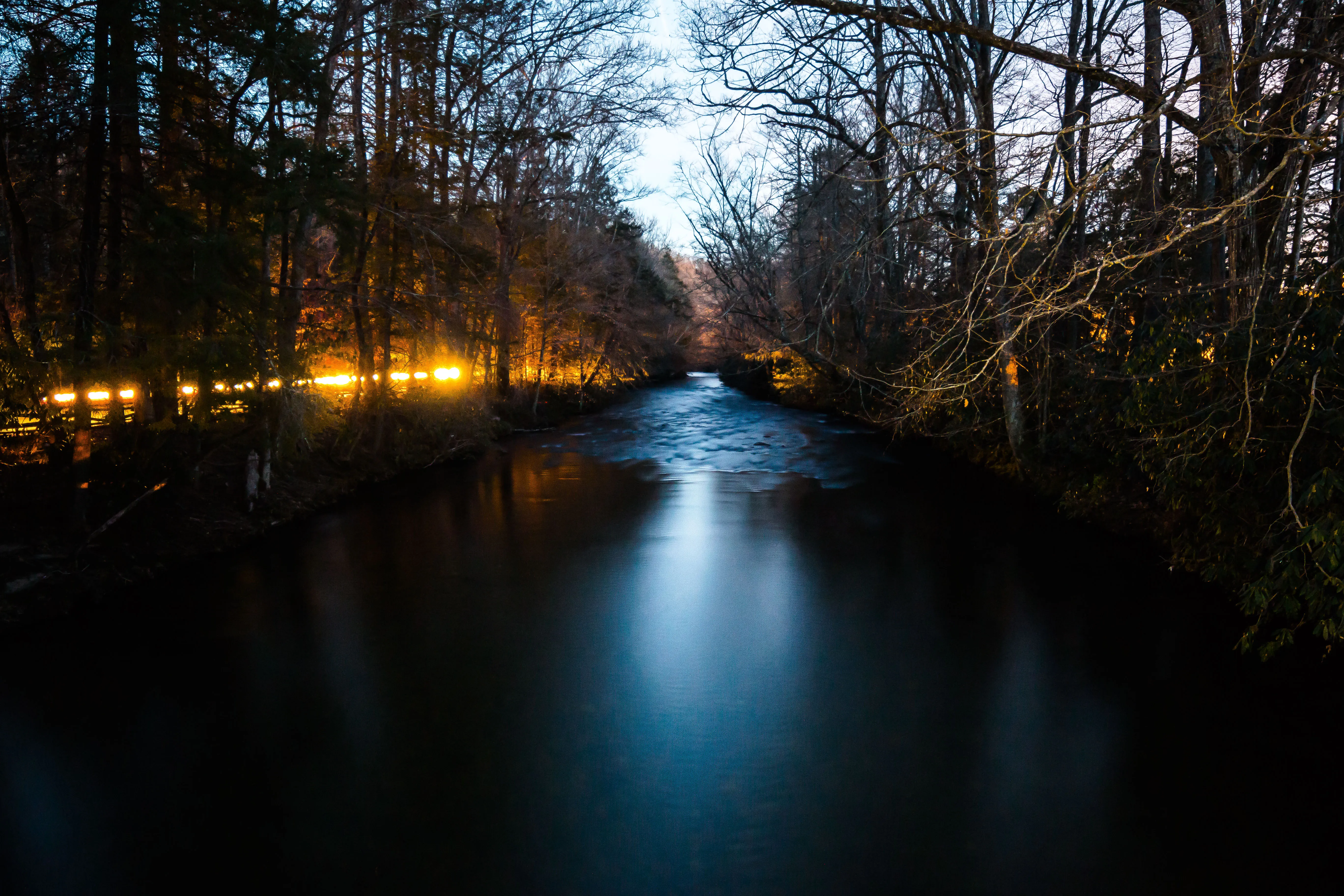 Camp at Davidson River Campground in the Pisgah National Forest