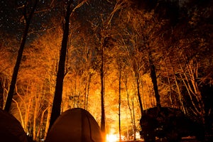 Camp at Davidson River Campground in the Pisgah National Forest