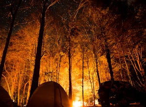 Camp at Davidson River Campground in the Pisgah National Forest