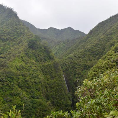 Hike up to see Lulumahu Falls from above before heading to the waterfall