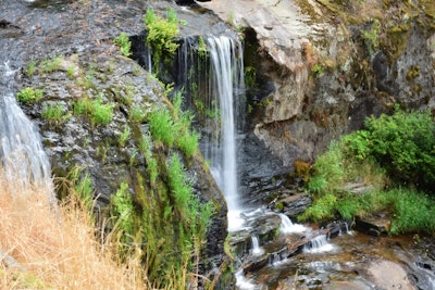 Hike through Golden and Silver Falls State Natural Area, Golden and