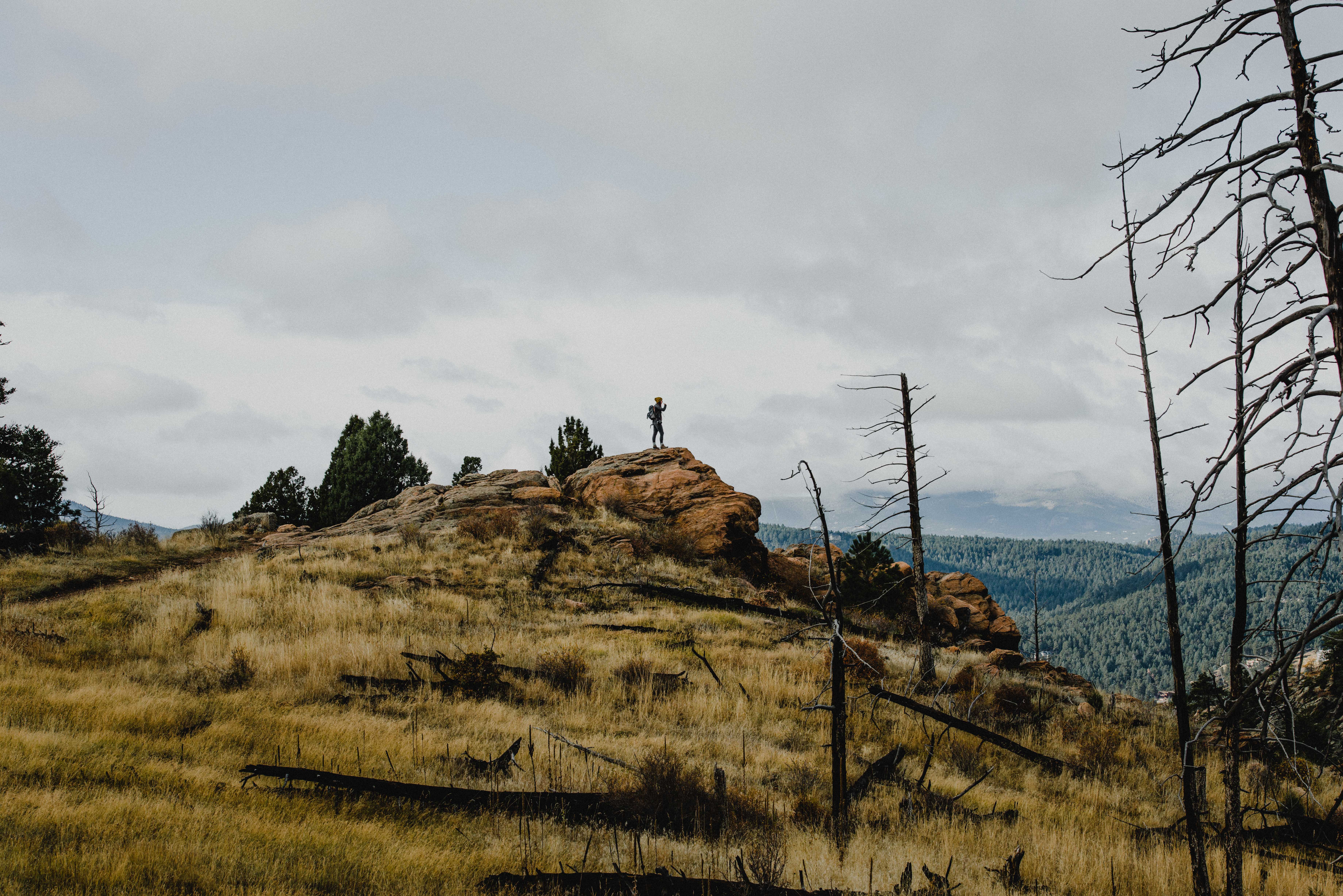 Mount Falcon Loop