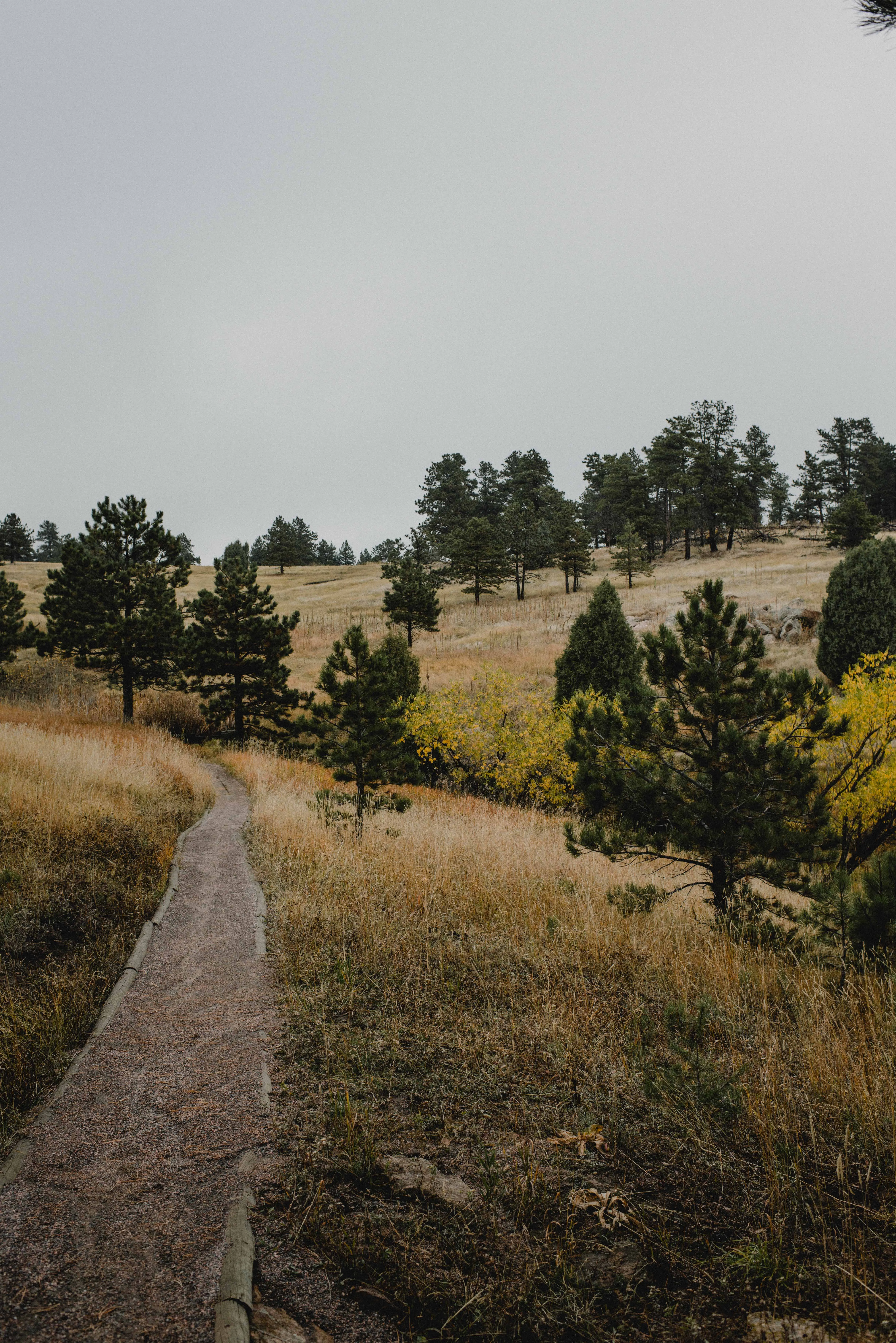 Mount Falcon Loop
