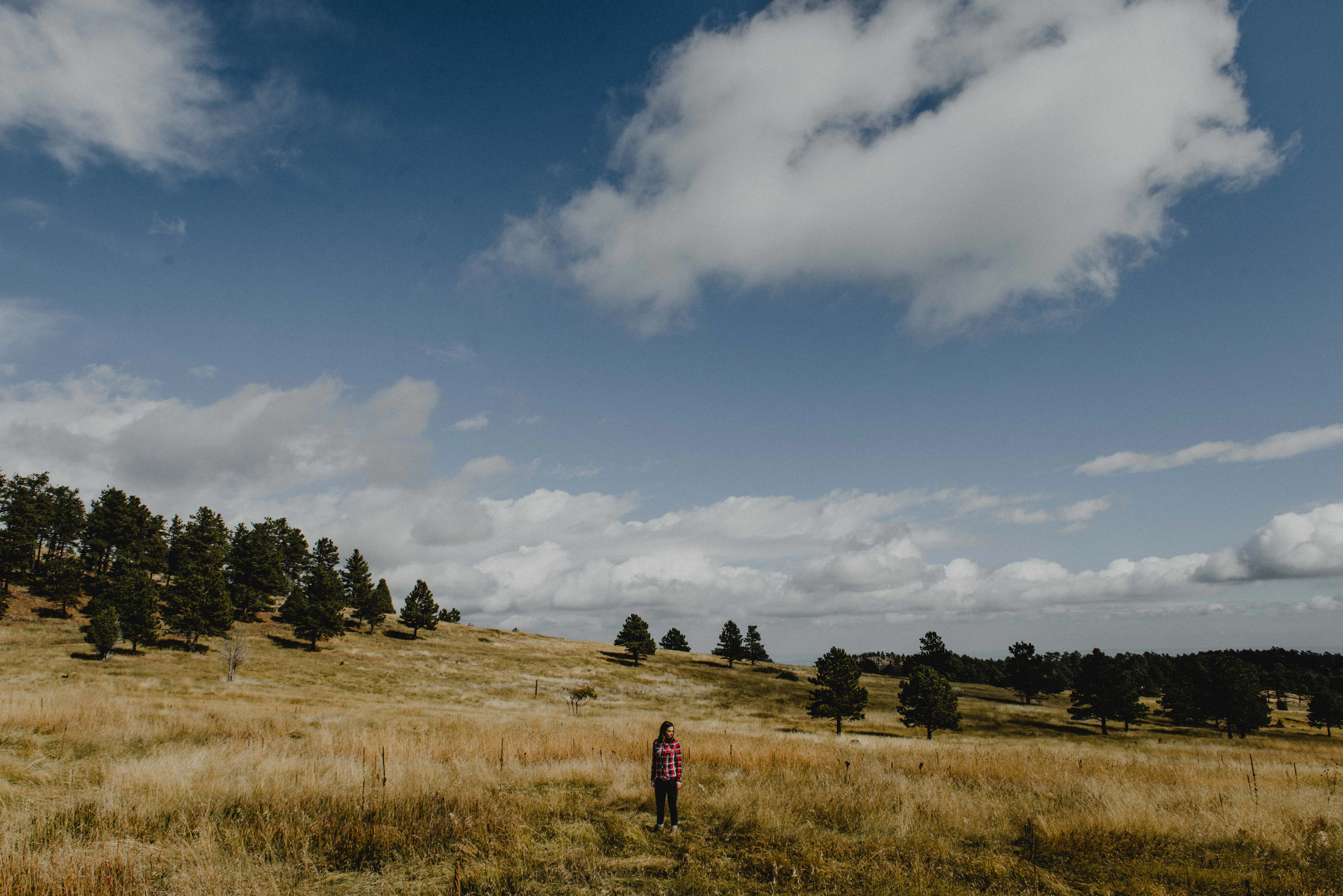 Mount Falcon Loop