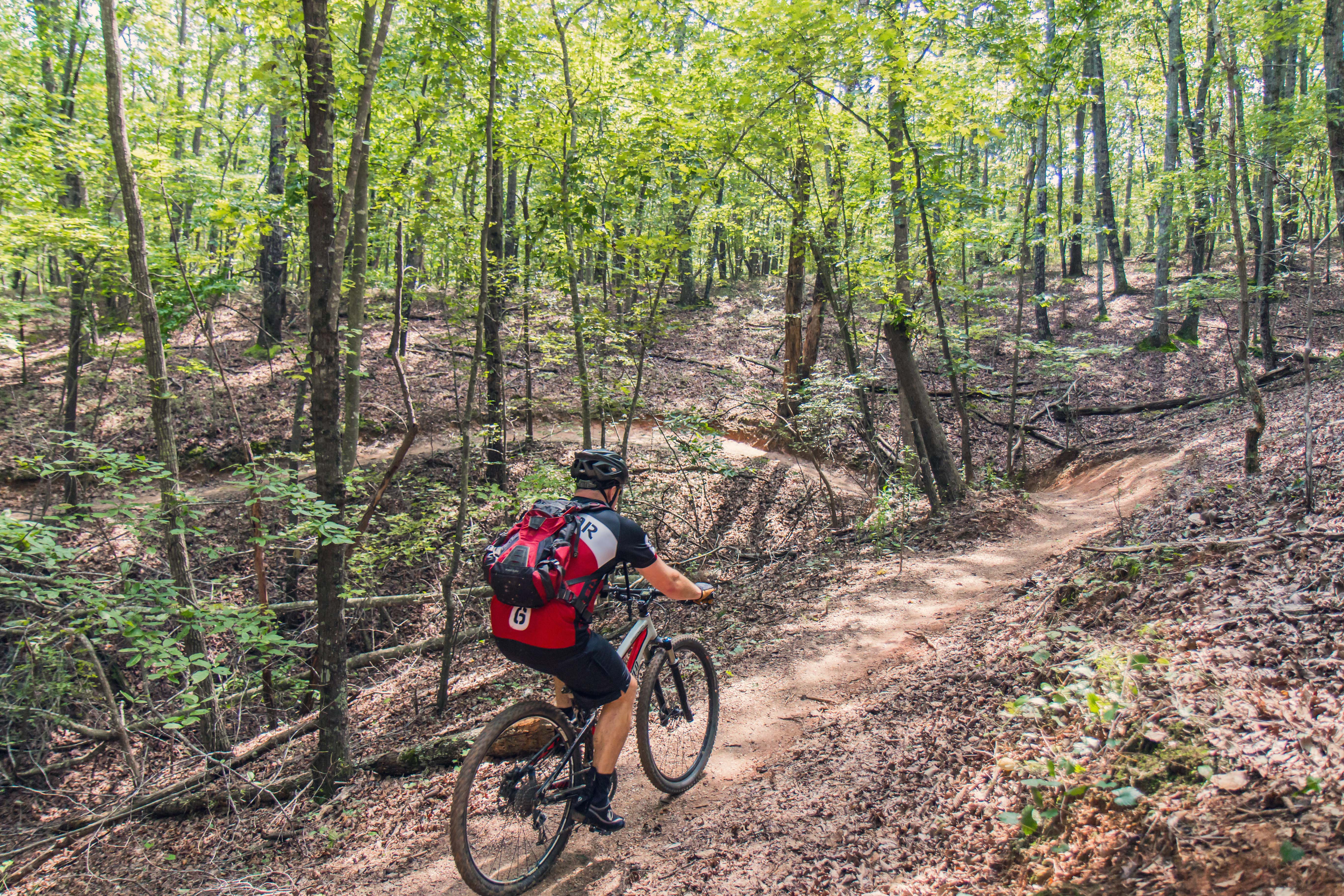 Mountain Bike Chicopee Woods' Flying Squirrel Trail
