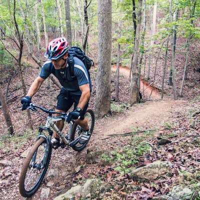 Mountain Bike Chicopee Woods' Flying Squirrel Trail
