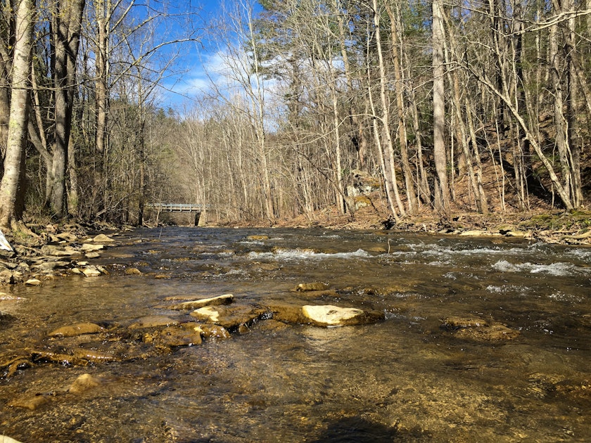 Fly Fish the Tom's Creek-Poverty Creek Junction, Virginia