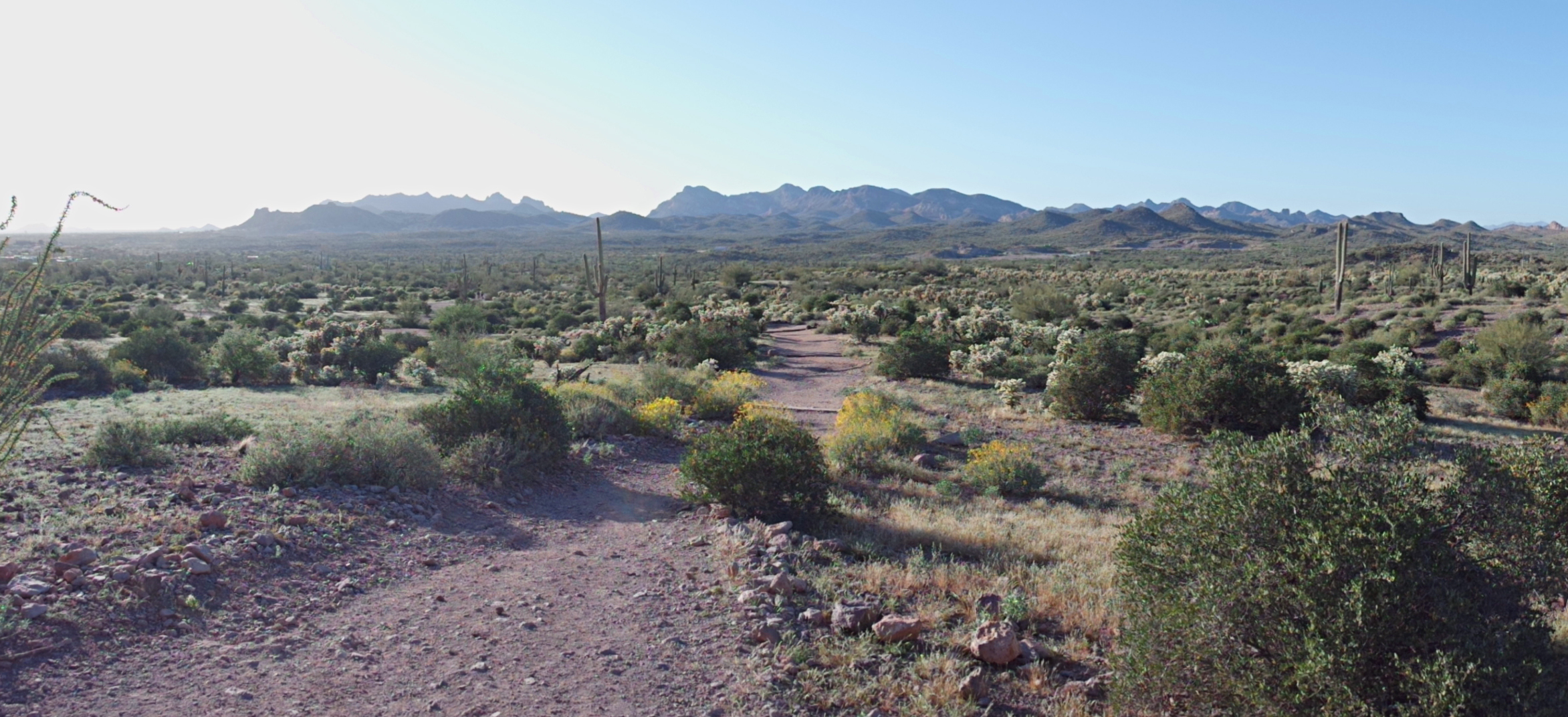 Treasure Loop Trail