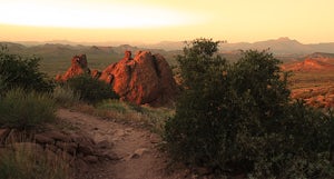 Treasure Loop Trail