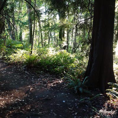 Trail Run Seward Park, Seattle