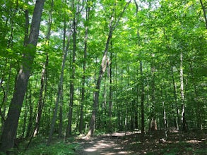 Buckeye Towpath Loop