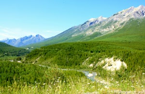 Camp at Alces Lake in Whiteswan Provincial Park