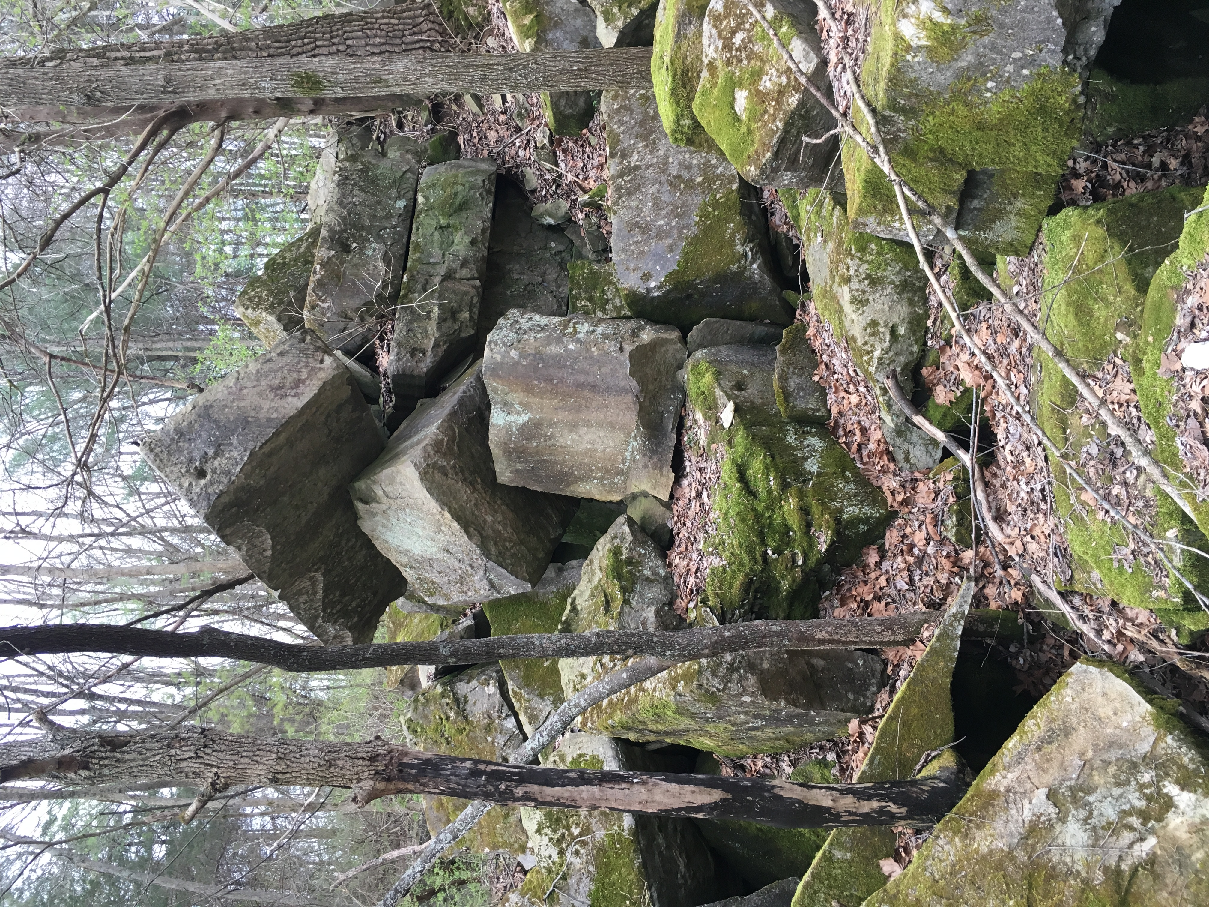 Hike the Leonard Springs Nature Park Loop, Bloomington, Indiana