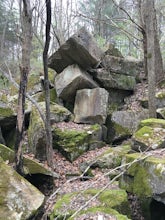 Hike the Leonard Springs Nature Park Loop