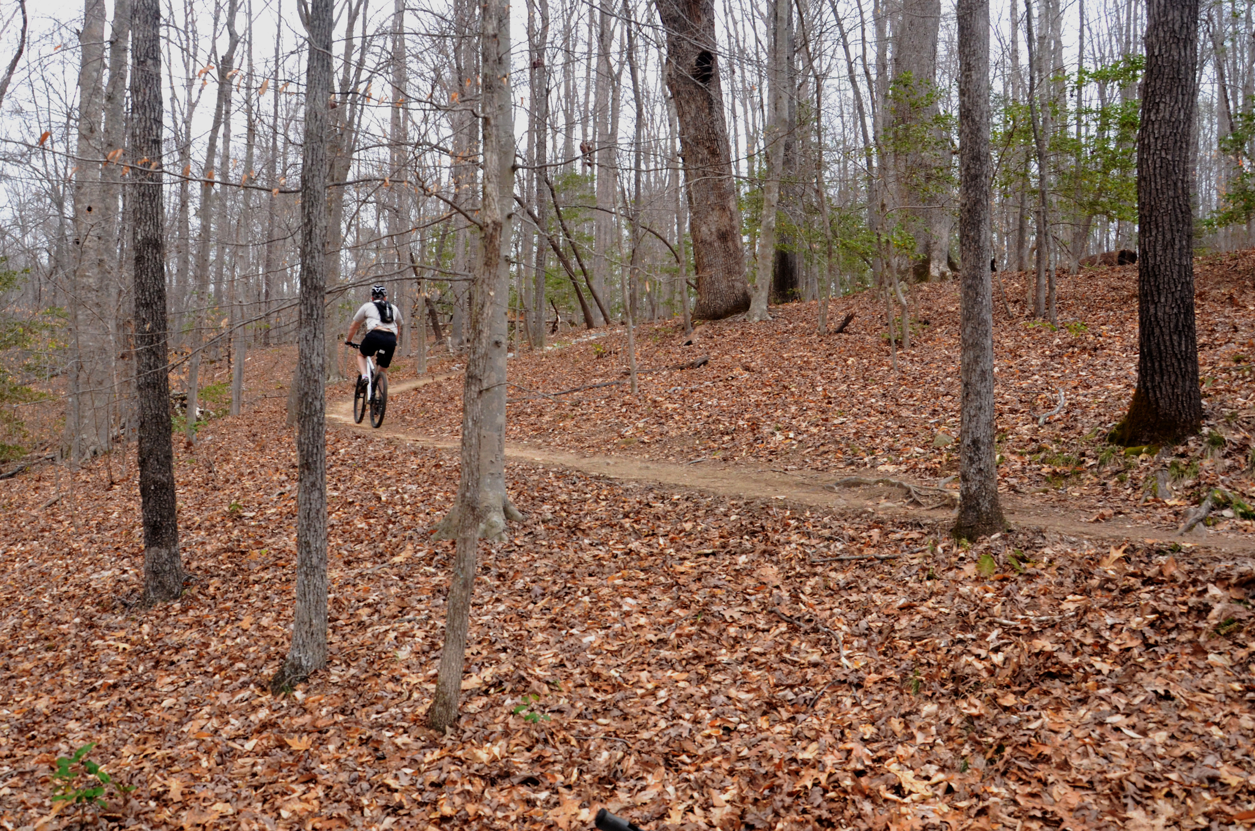 Mountain Bike the Lakeview Trails in Pocahontas State Park