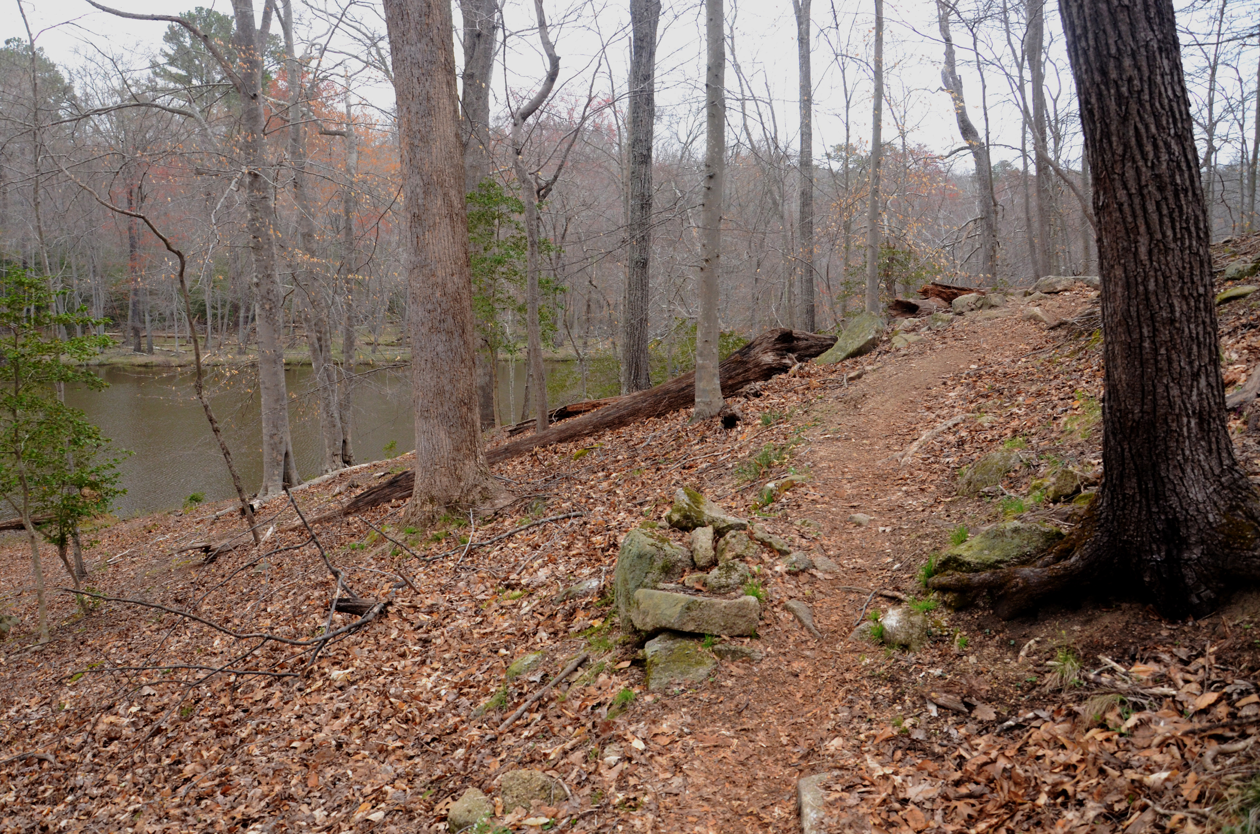 Mountain Bike the Lakeview Trails in Pocahontas State Park