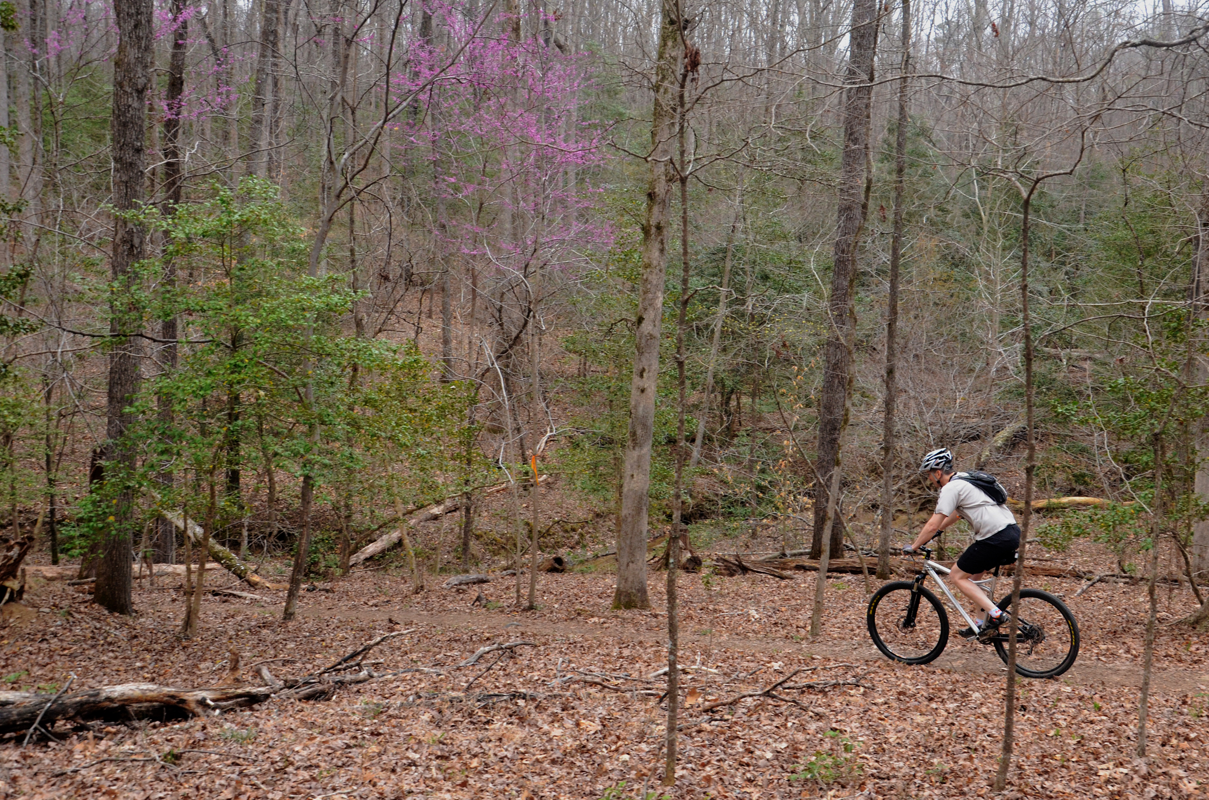 Mountain Bike the Lakeview Trails in Pocahontas State Park