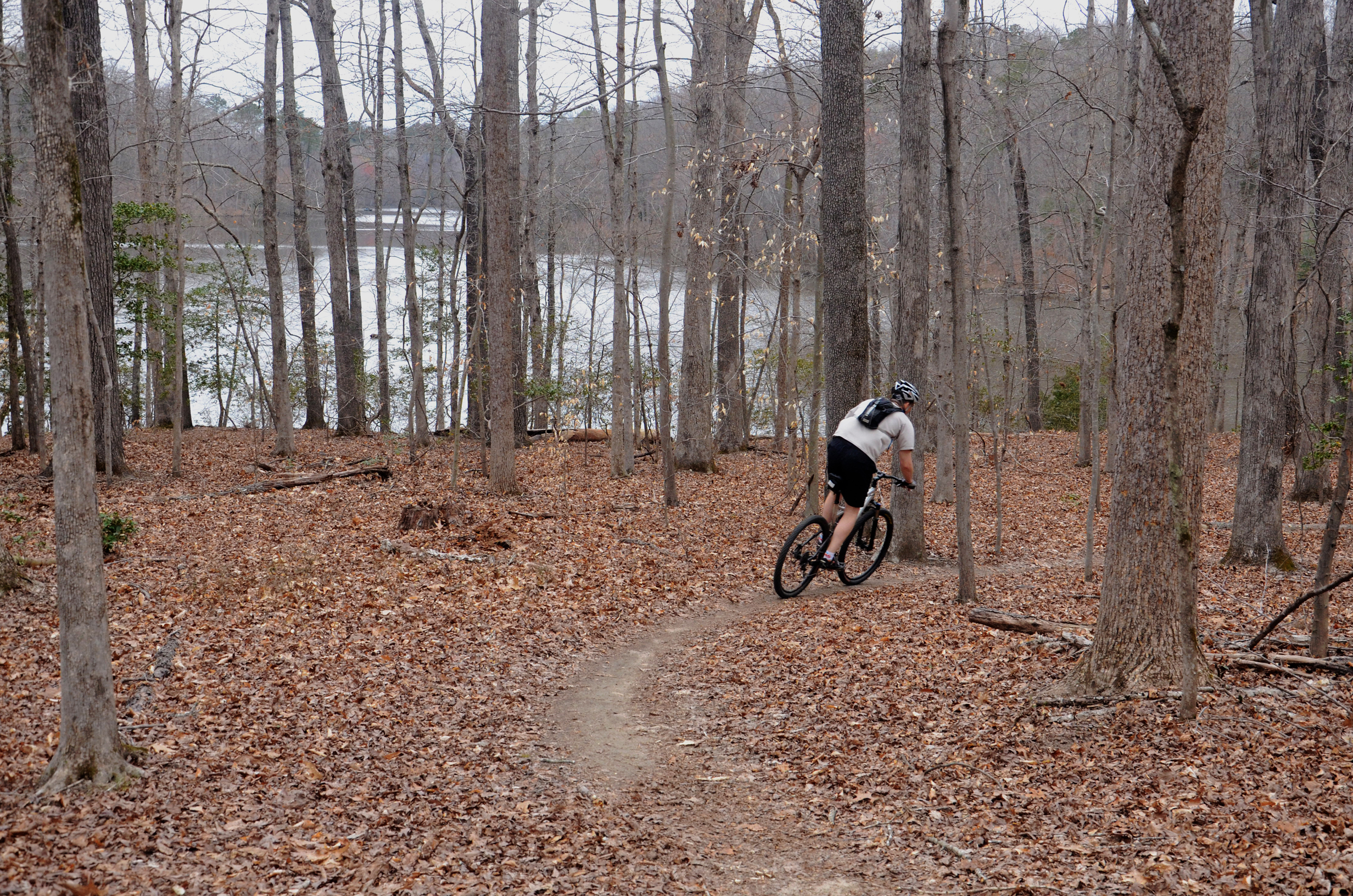 Mountain Bike the Lakeview Trails in Pocahontas State Park