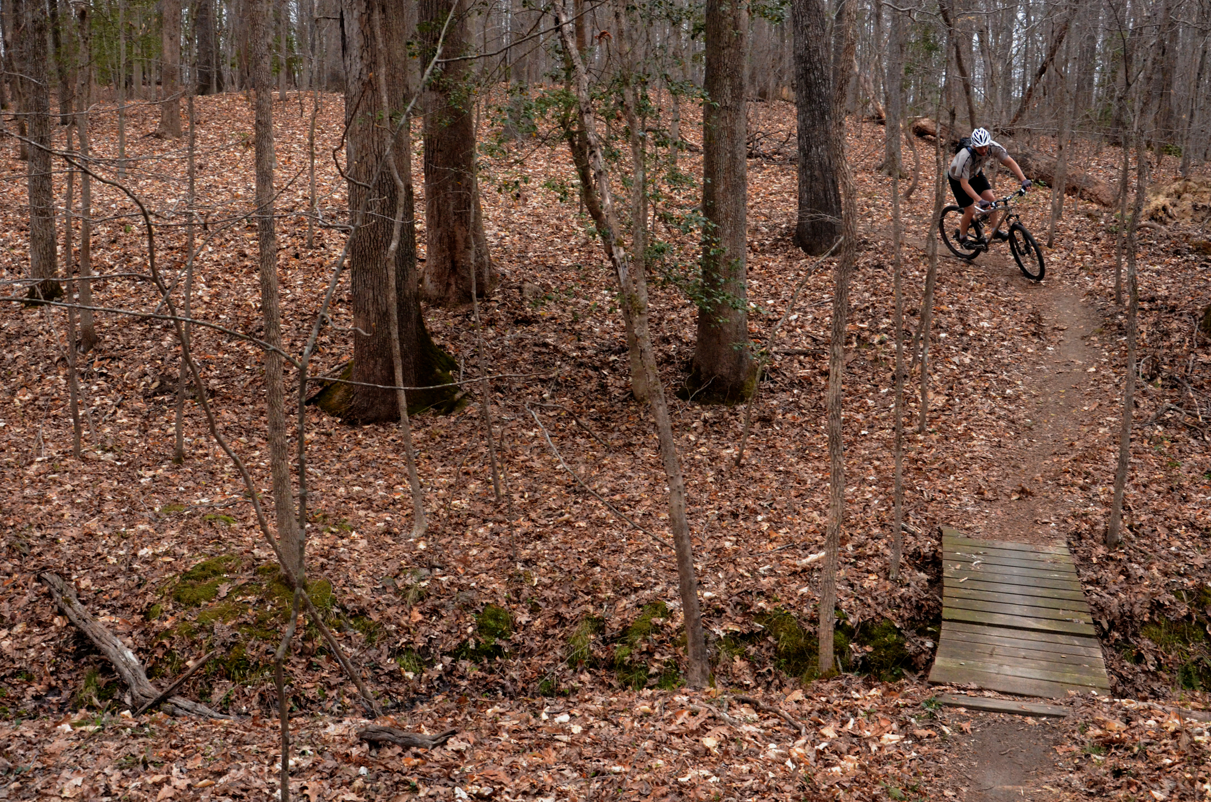 Mountain Bike the Lakeview Trails in Pocahontas State Park