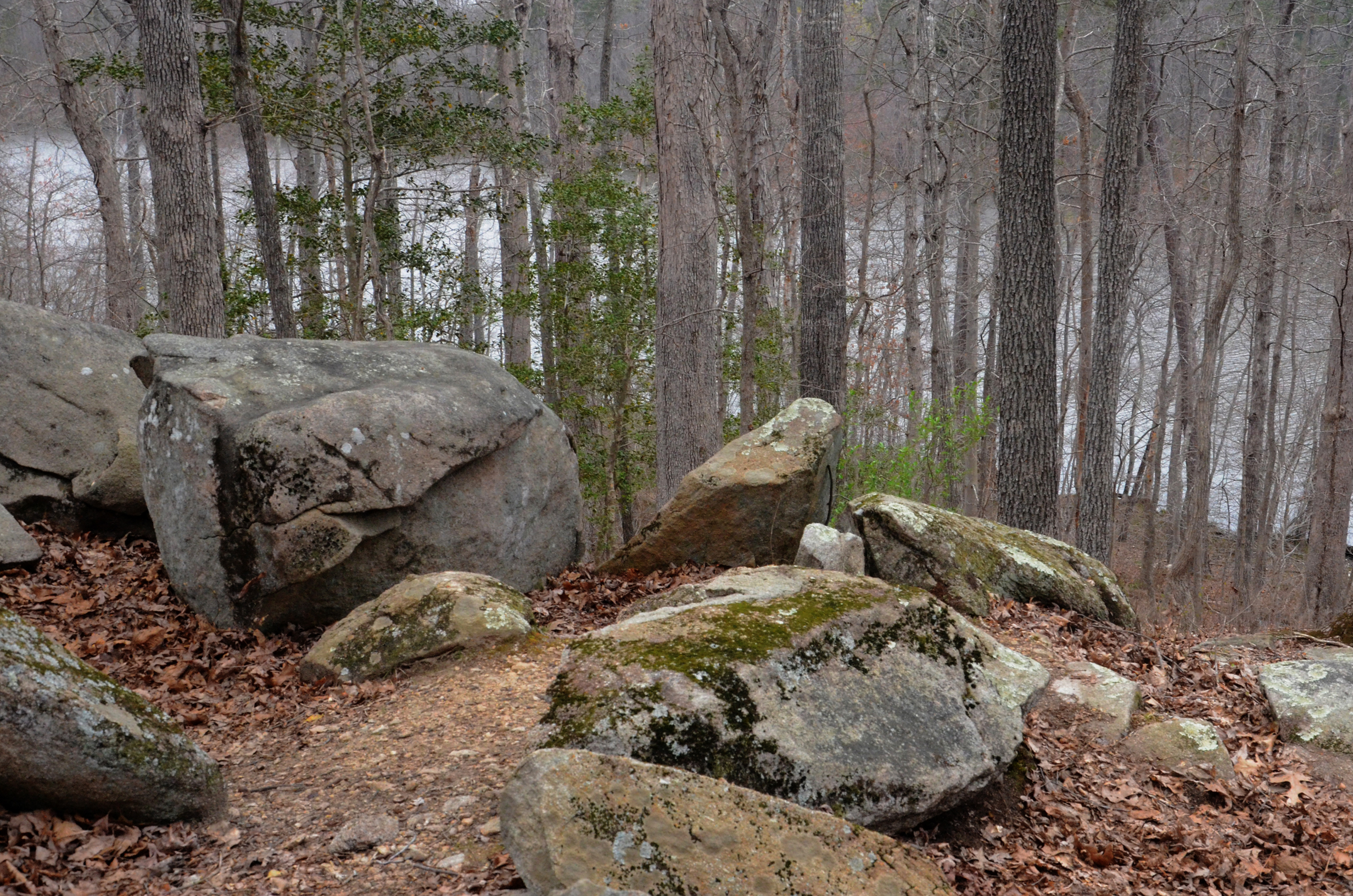 Mountain Bike the Lakeview Trails in Pocahontas State Park