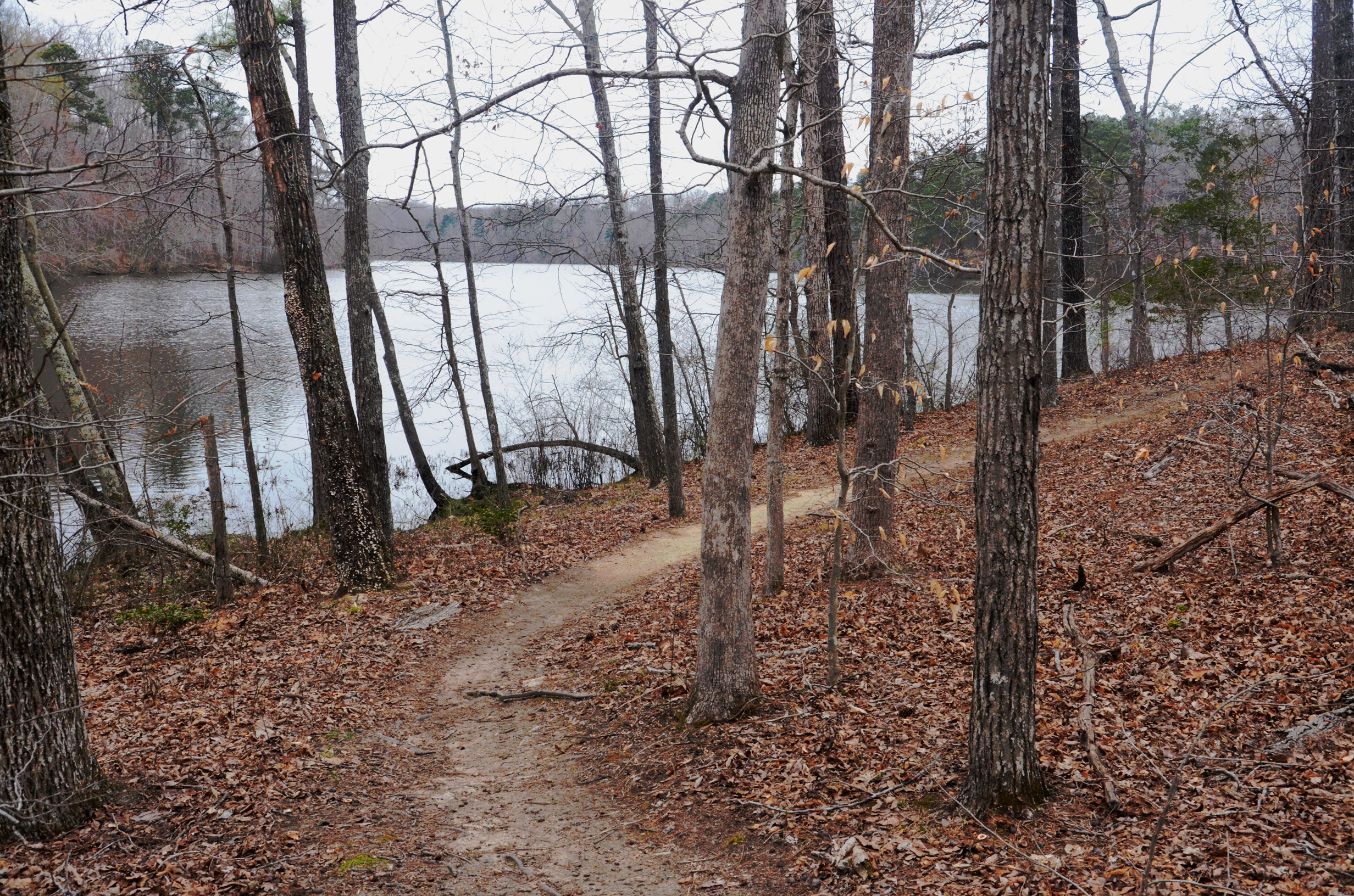 pocahontas state park mountain biking