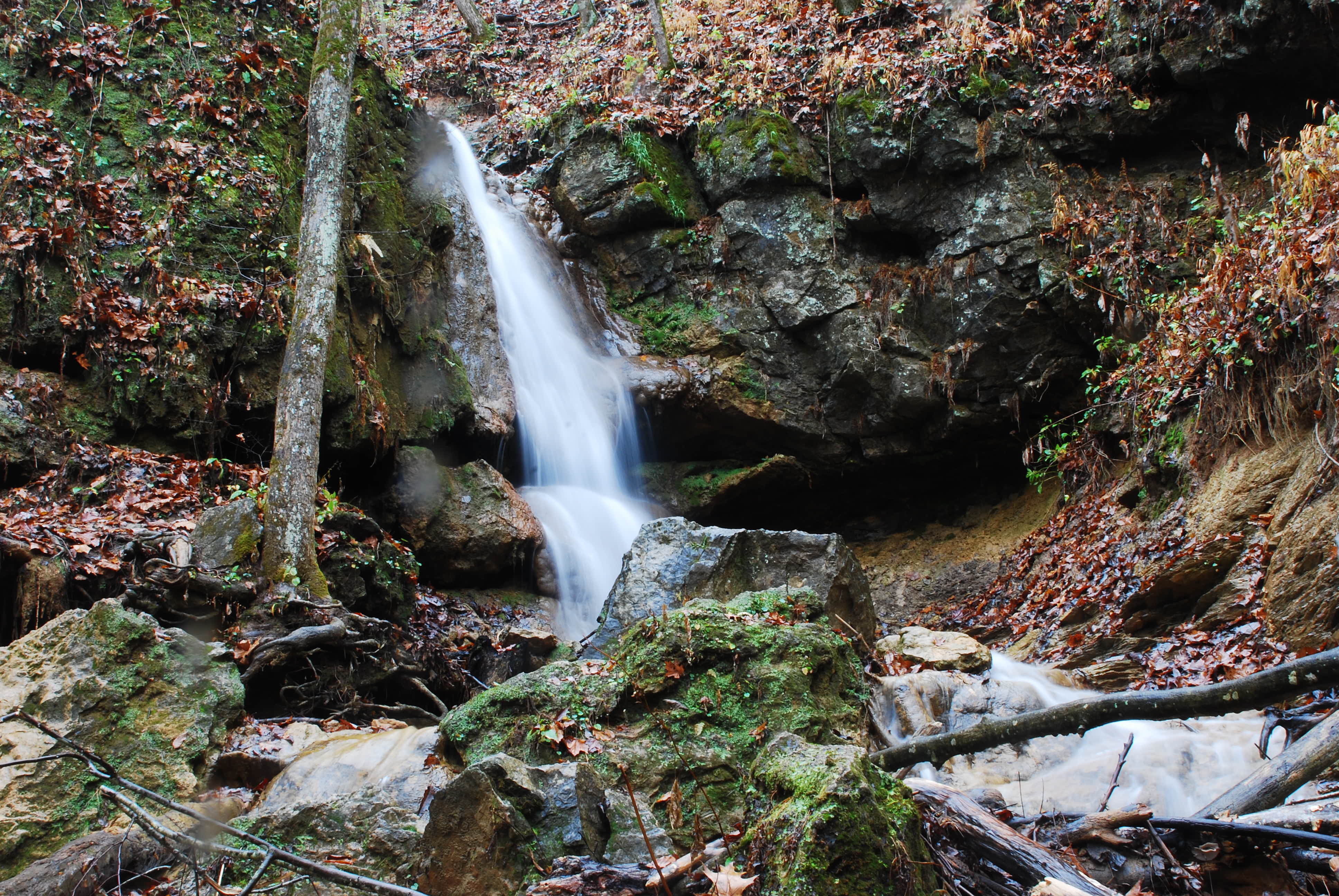 Hike through Falls Ridge Preserve