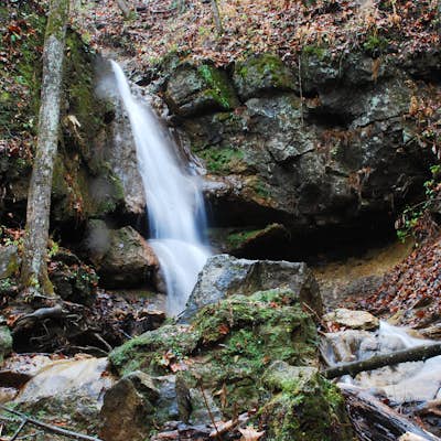 Hike through Falls Ridge Preserve