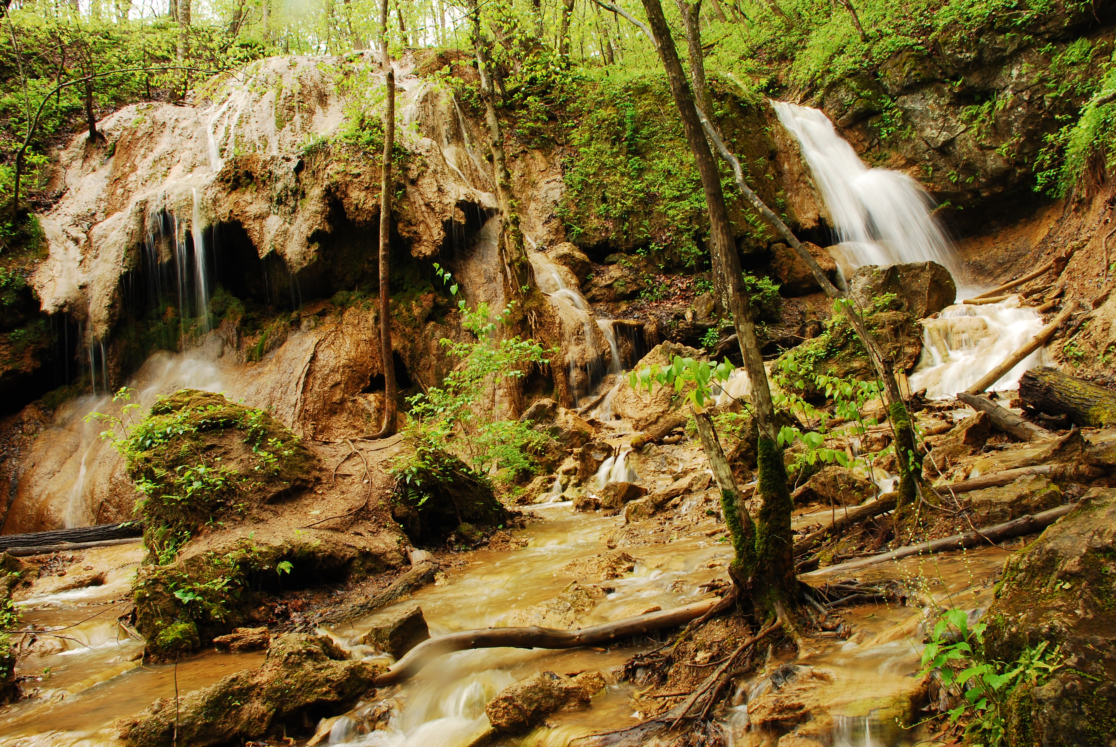 Hike through Falls Ridge Preserve