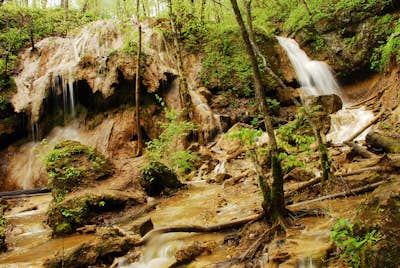 Hike through Falls Ridge Preserve