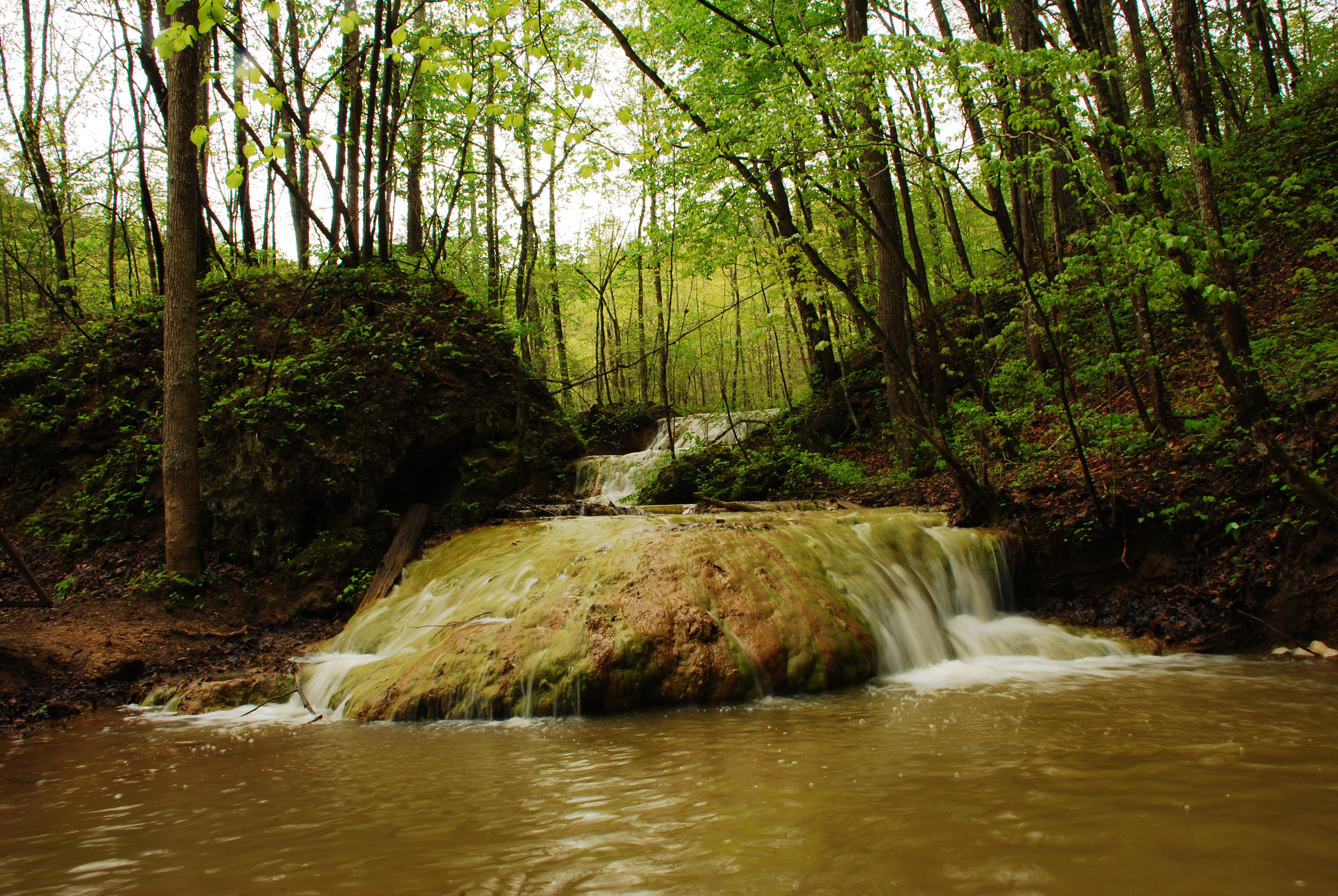 Hike through Falls Ridge Preserve