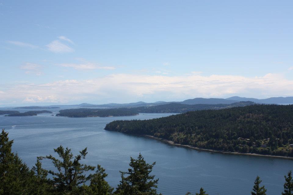Hike Up Reginald Hill 