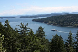 Hike Up Reginald Hill 