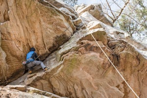 Climb at Palisades Park