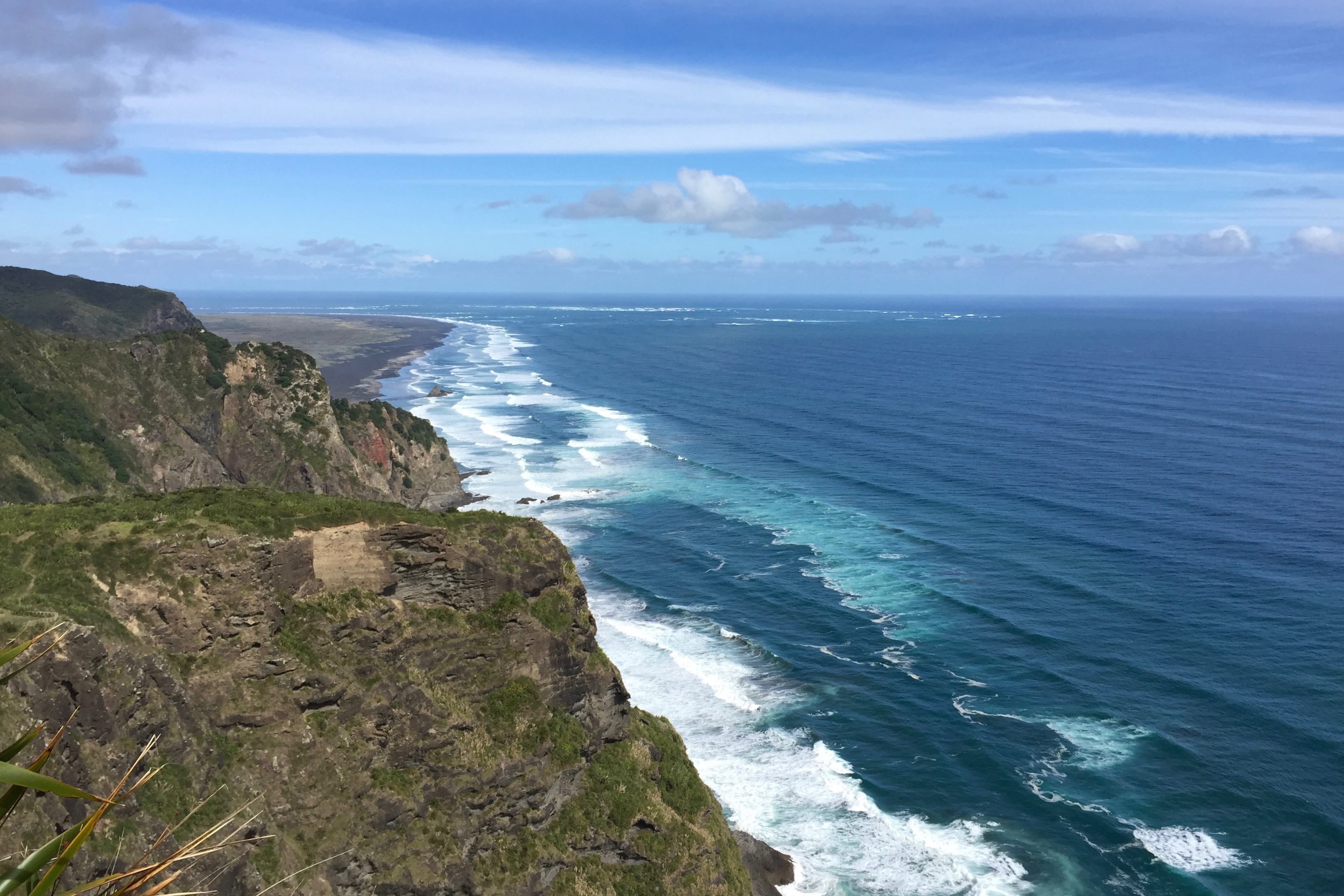 Hike the Mercer Bay Loop