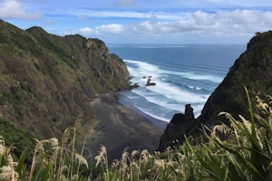 Hike the Mercer Bay Loop