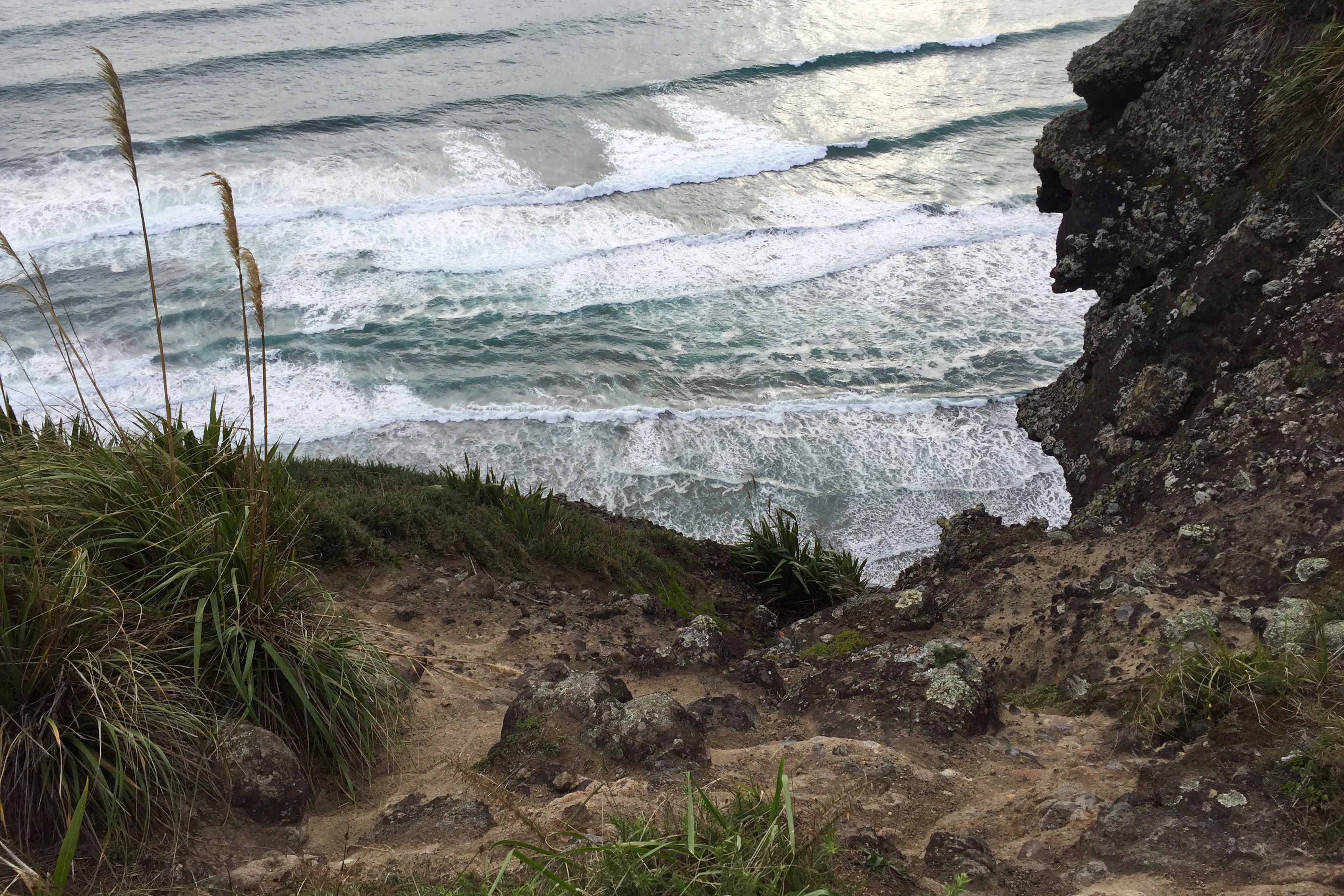 Hike the Mercer Bay Loop