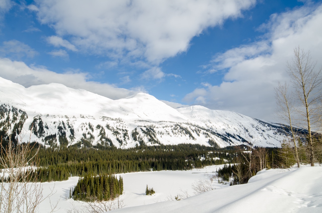 Ski or Snowboard at Powder King Mountain Resort, FraserFort G