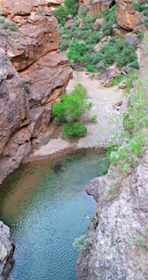 Photographing Tonto National Forest