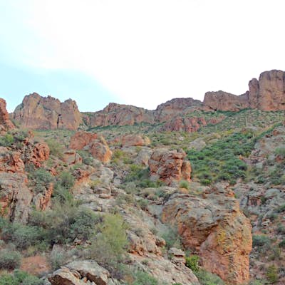 Photographing Tonto National Forest