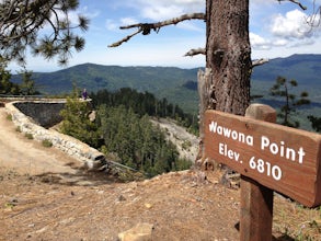 Hike through Mariposa Grove to Wawona Point