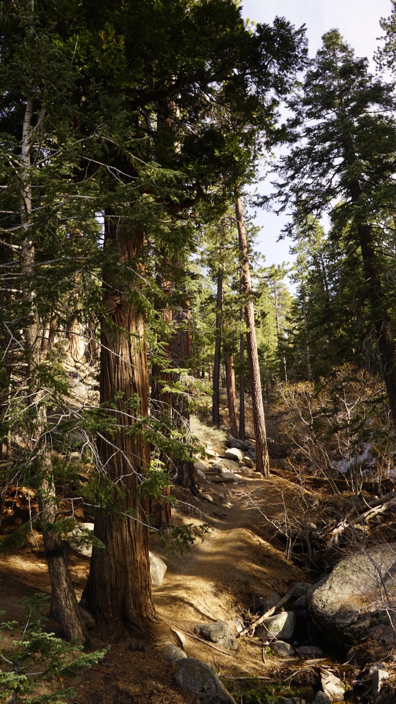 Castle Rock Trail at Big Bear Lake