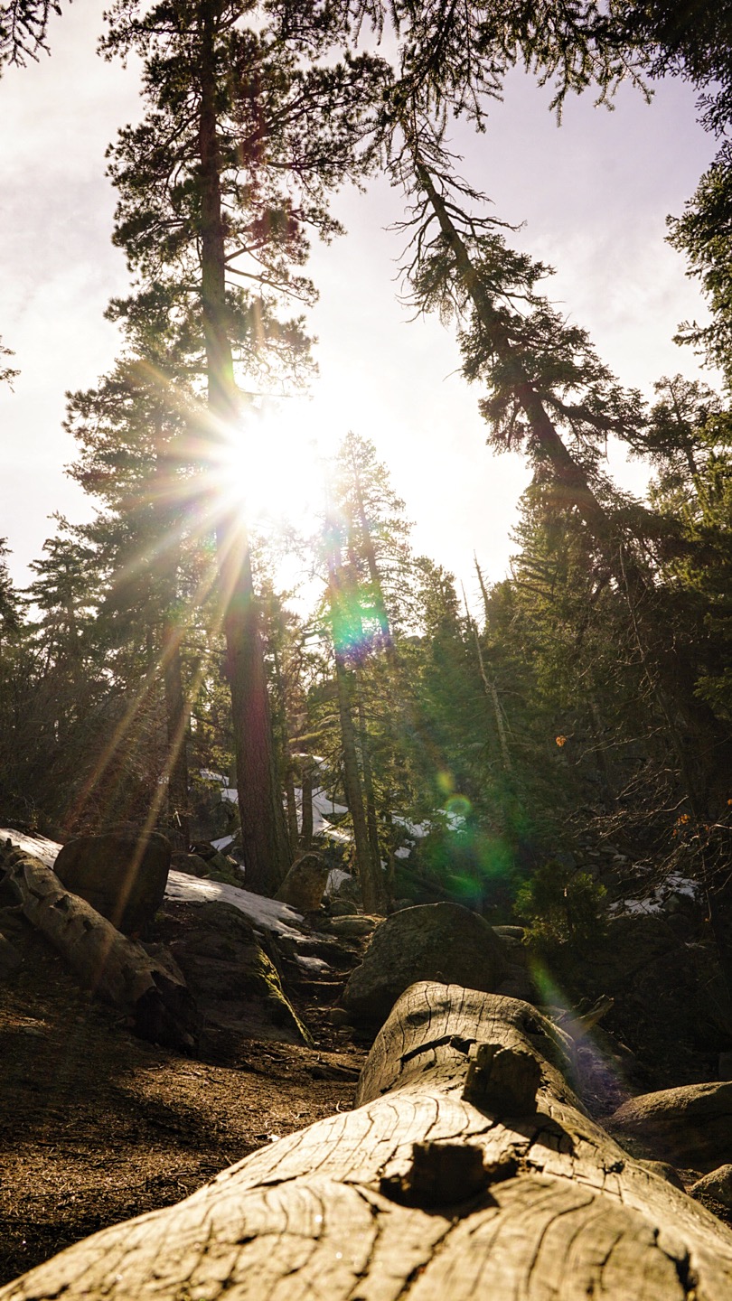 Castle Rock Trail at Big Bear Lake