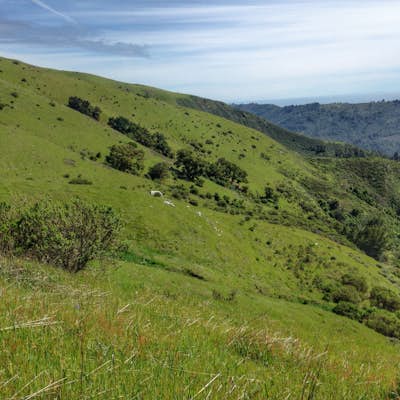 Hike the East Molera Trail