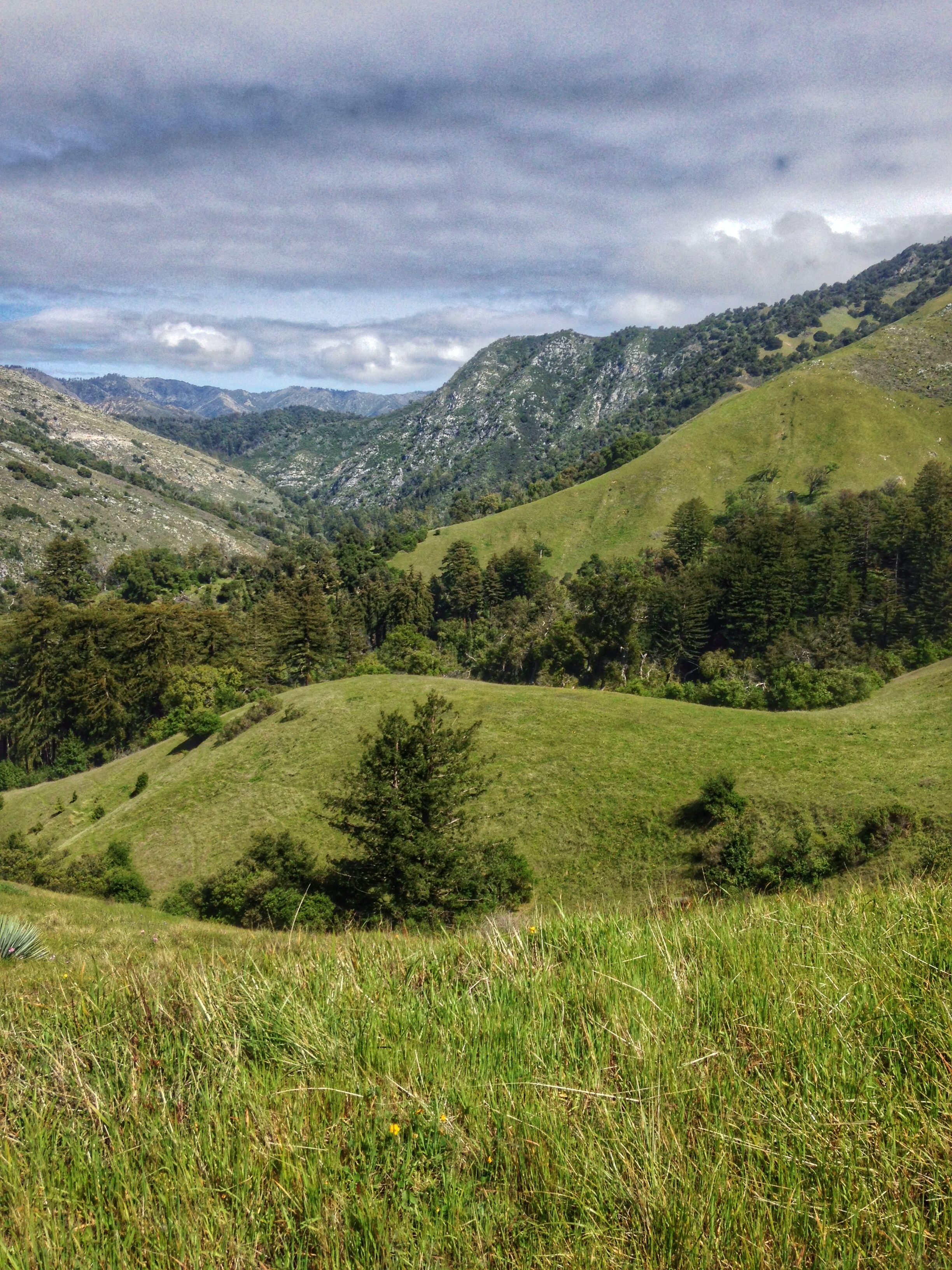 East Molera Trail