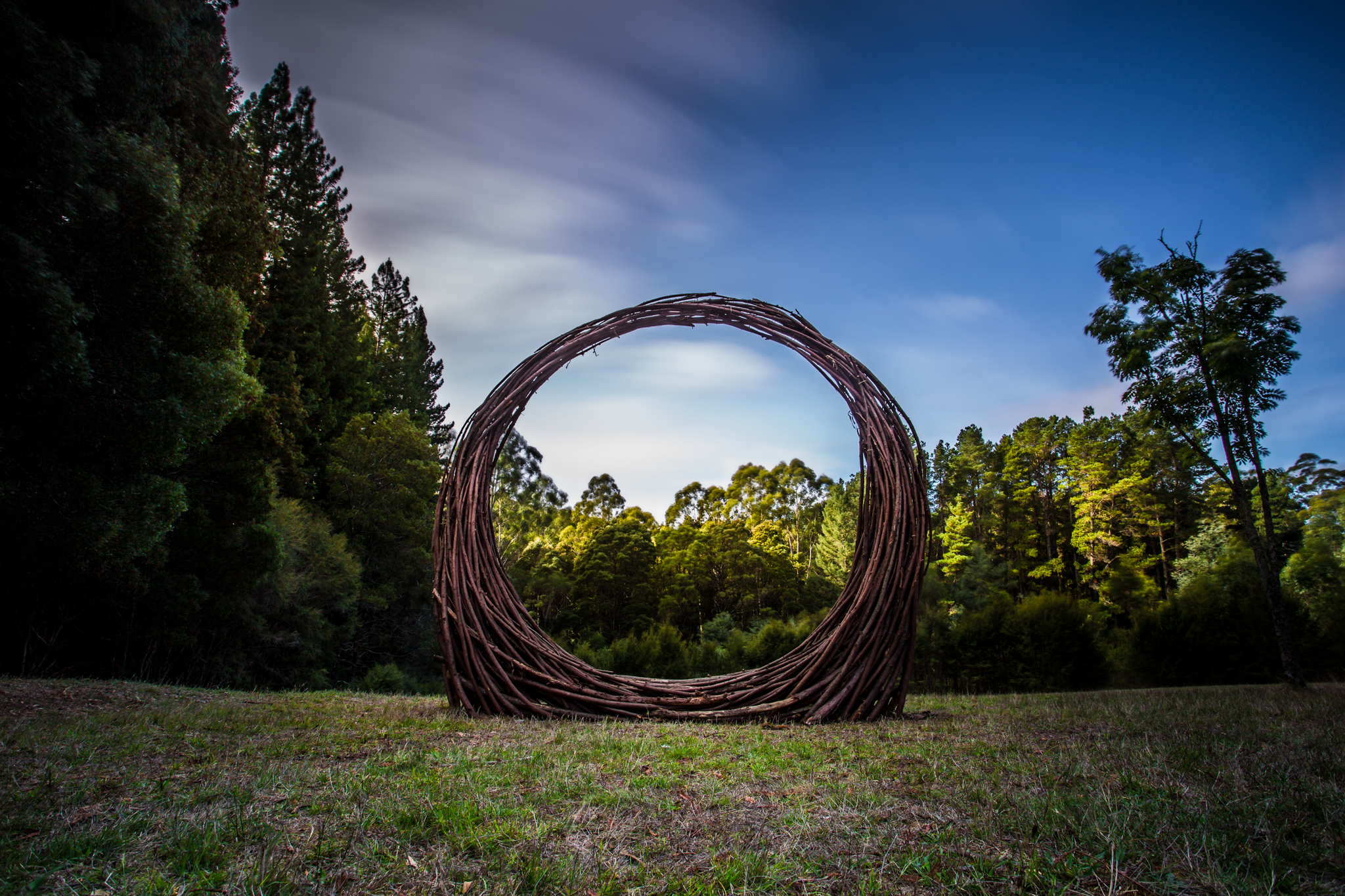 Explore Warburton's Sequoia Forest