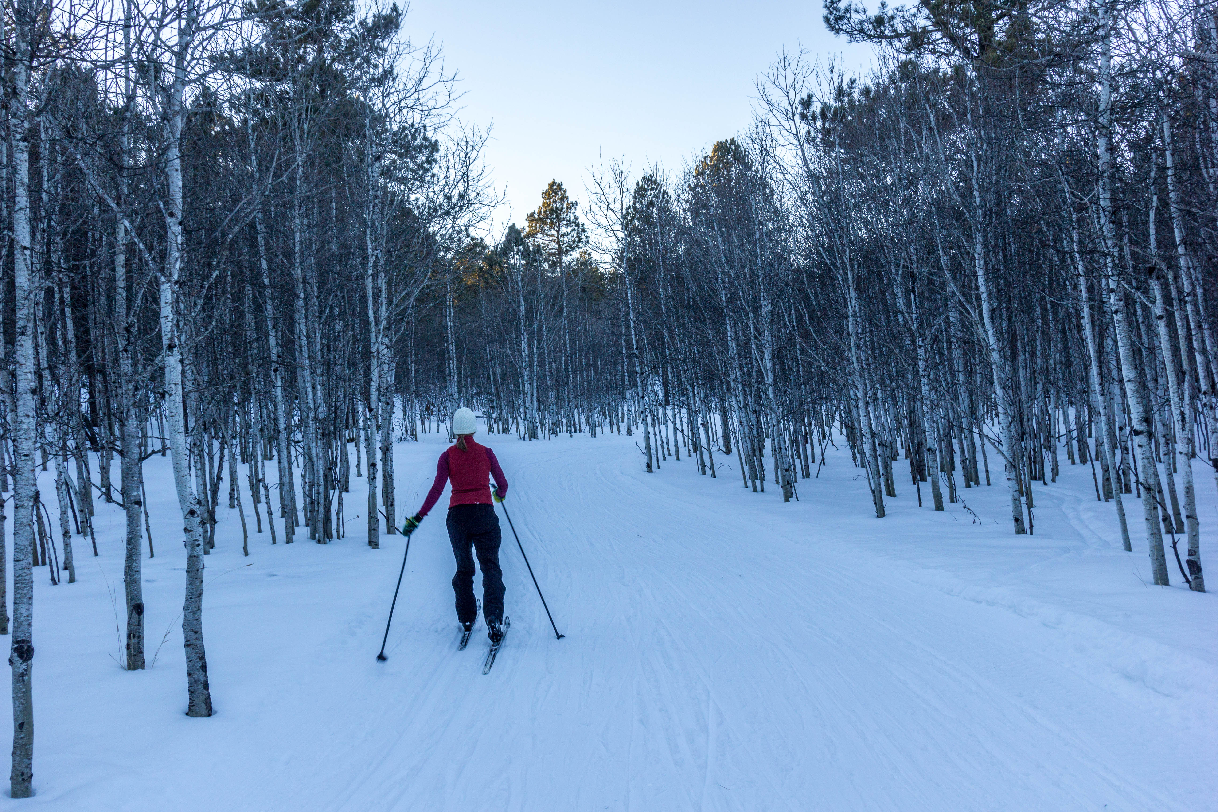 Cross-Country Ski the Big Hill Trails 
